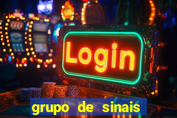 grupo de sinais fortune rabbit